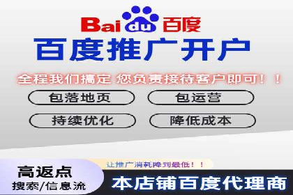 百度竞价排名机制：成功案例与策略探讨